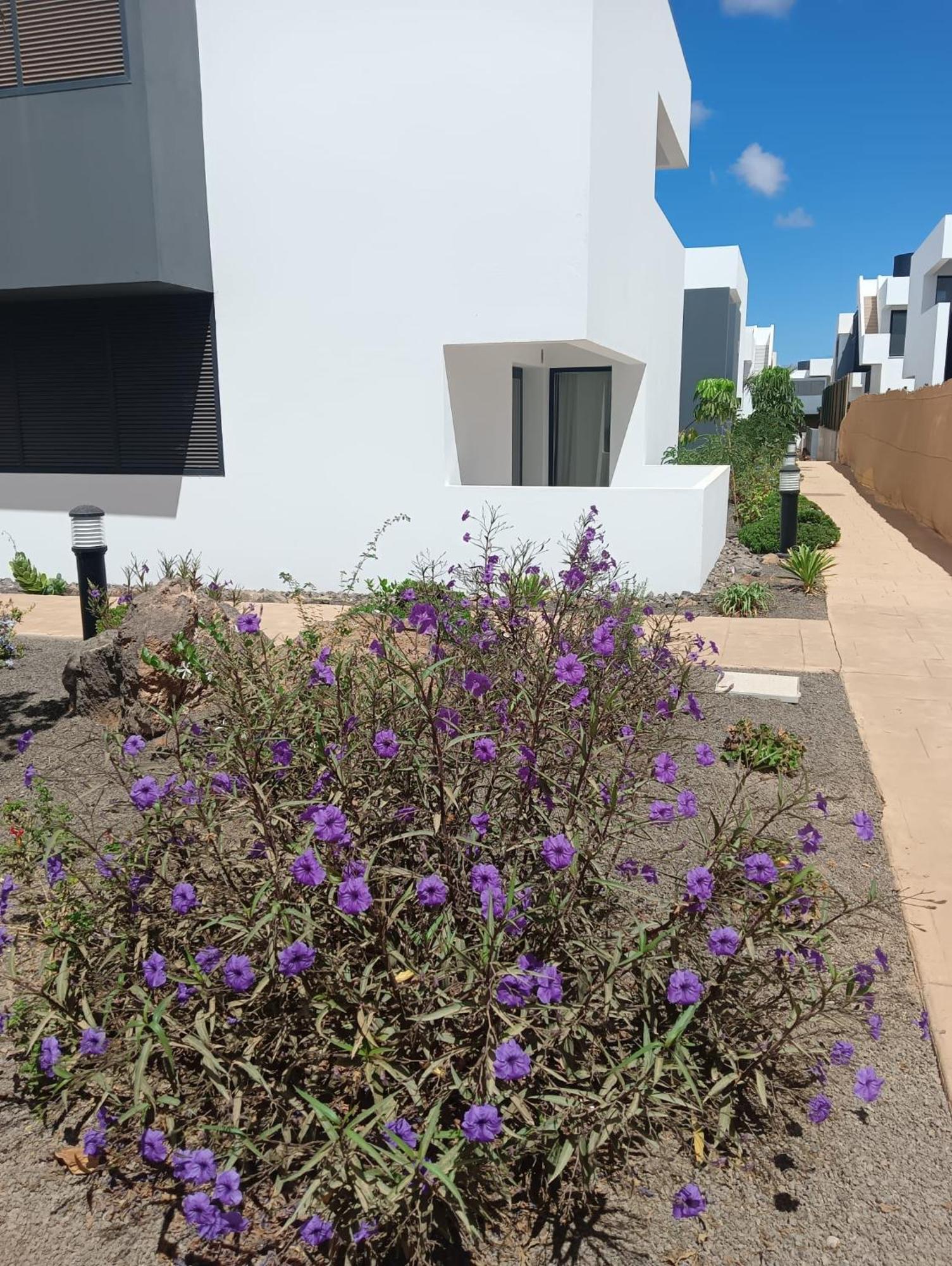 Apartamento Aulaga Villaverde  Exterior foto